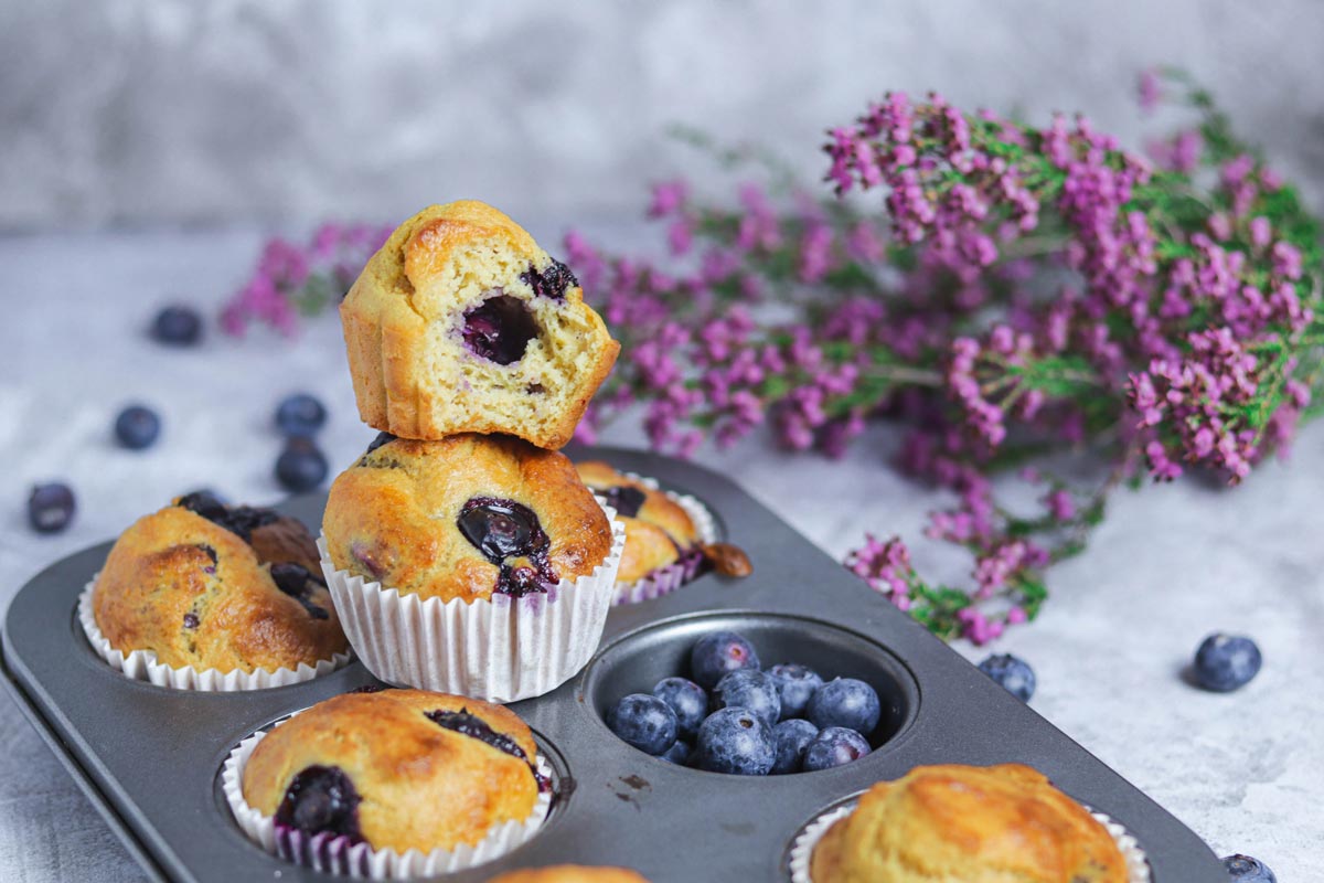 Muffins de Iogurte e Mirtilos Muffins de Iogurte e Mirtilos